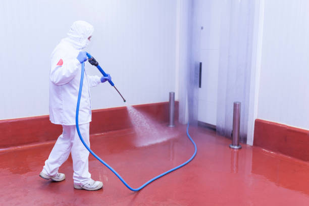 Morris, AL  Pressure Washing Services Company